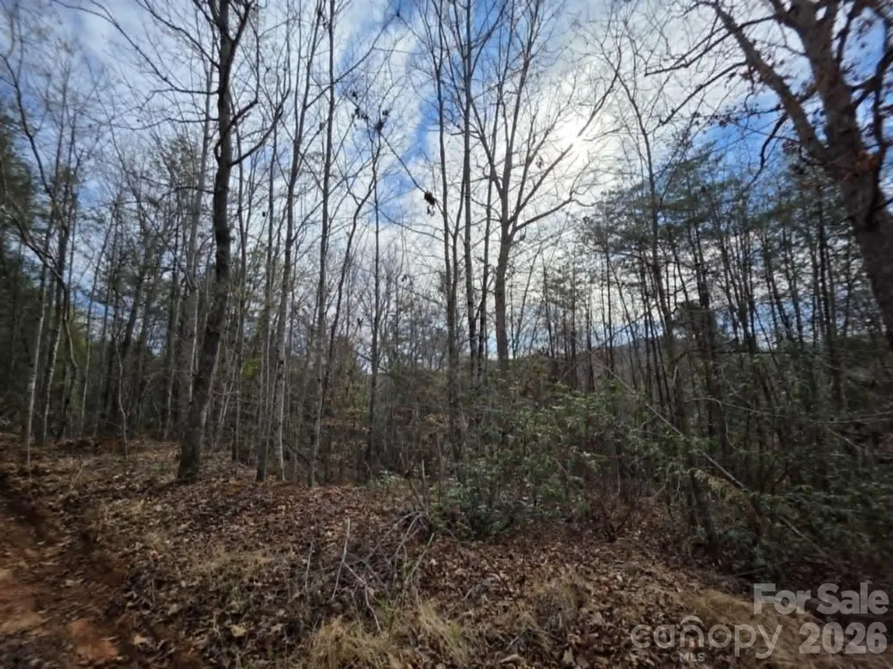 Lot 4 Kerlee Lane Old Fort, NC 28762