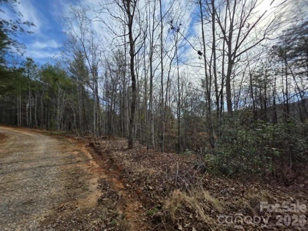 Lot 4 Kerlee Lane Old Fort, NC 28762