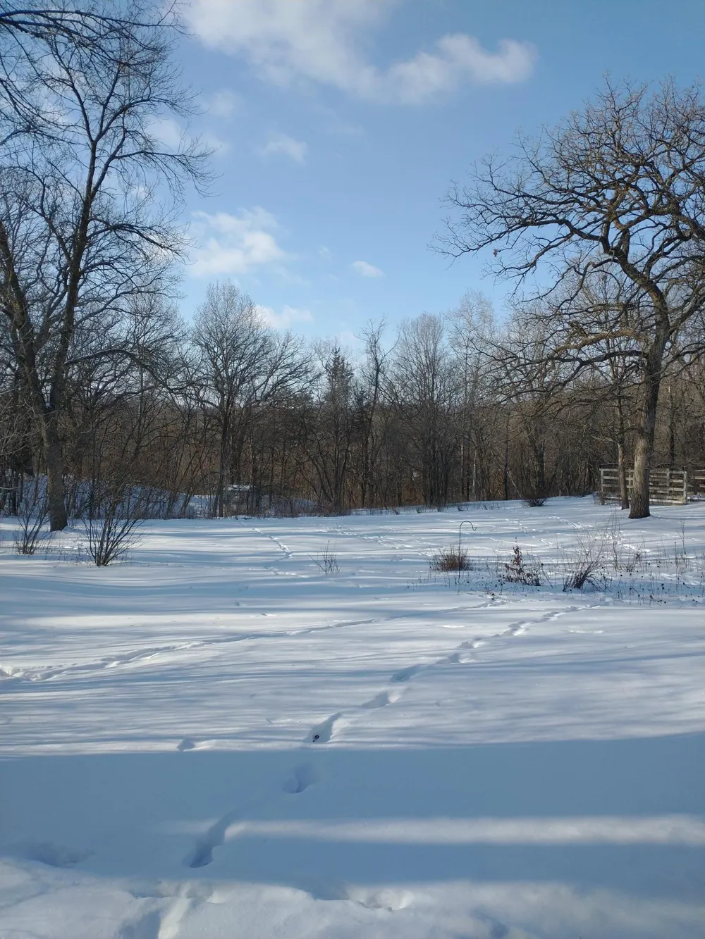 16220 Hayes Avenue Carver, MN 55315