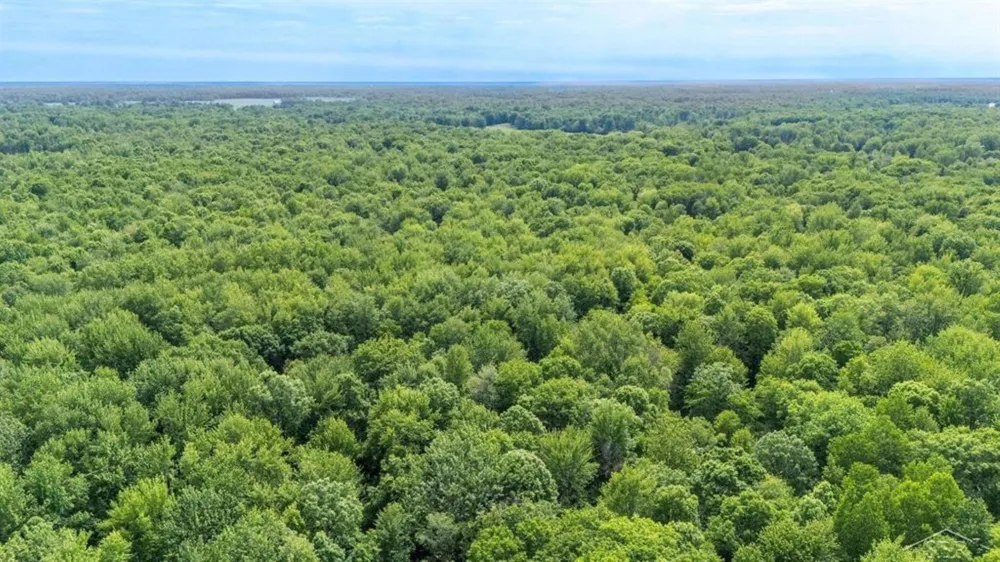 4455 Ehlers Road Larkin Charter Township, MI 48642