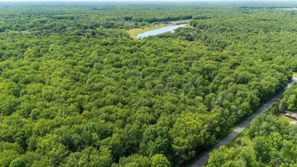 4455 Ehlers Road Larkin Charter Township, MI 48642