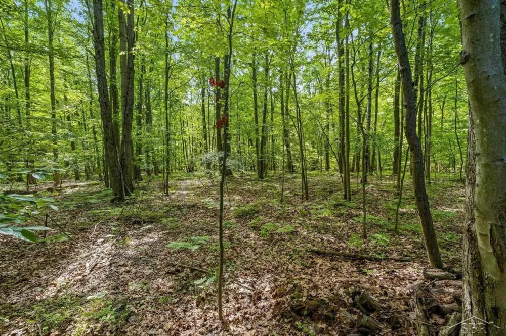 4455 Ehlers Road Larkin Charter Township, MI 48642