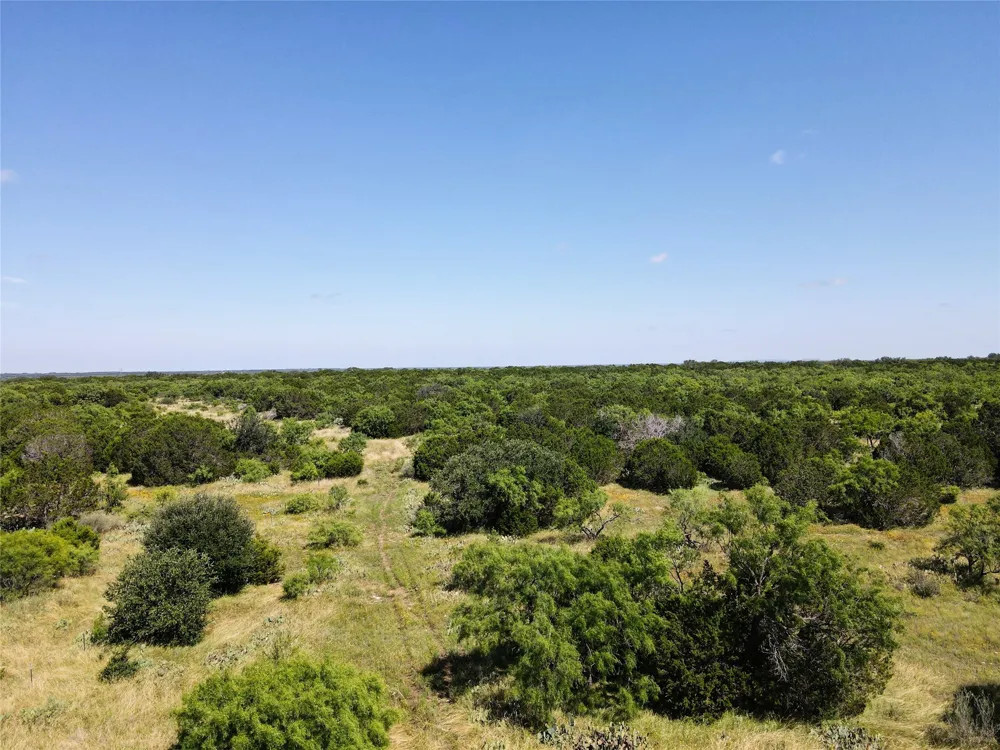 12493 County Road 222 Brookesmith, TX 76827