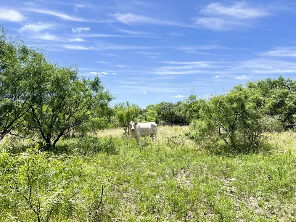 12493 County Road 222 Brookesmith, TX 76827