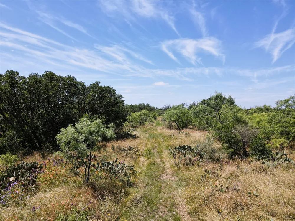 12493 County Road 222 Brookesmith, TX 76827