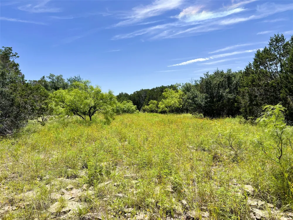 12493 County Road 222 Brookesmith, TX 76827
