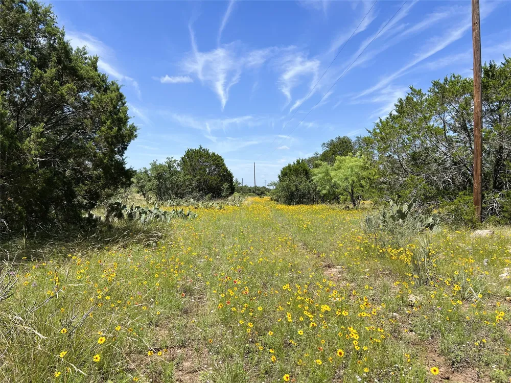 12493 County Road 222 Brookesmith, TX 76827