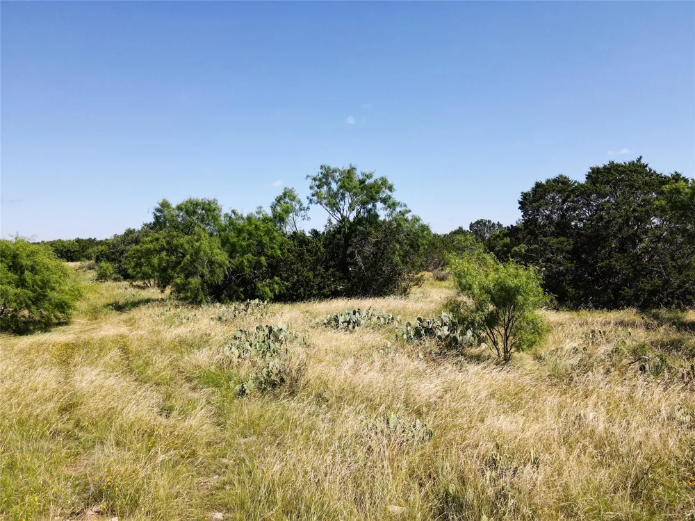 12493 County Road 222 Brookesmith, TX 76827