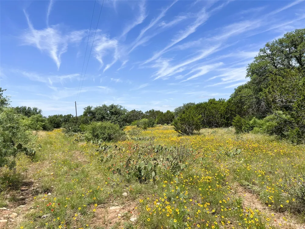 12493 County Road 222 Brookesmith, TX 76827