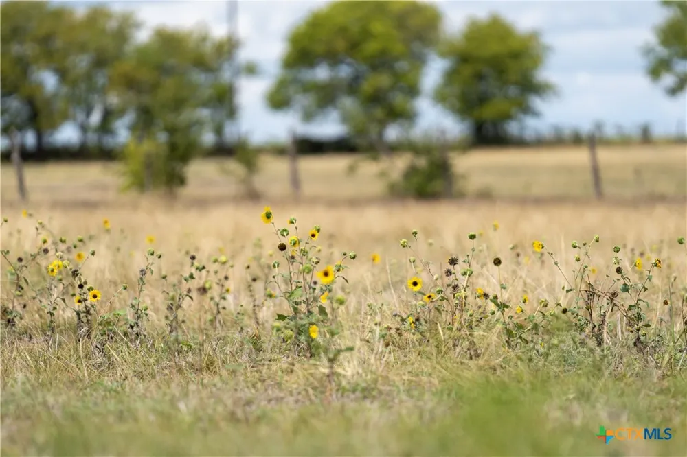 4775 Barnes Road Salado, TX 76571