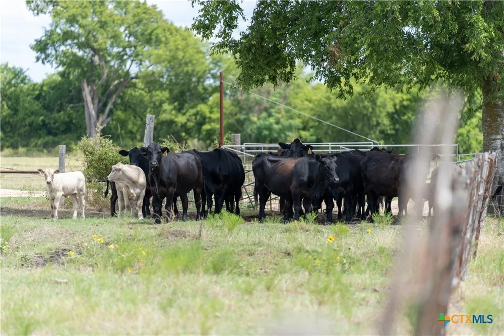 4775 Barnes Road Salado, TX 76571