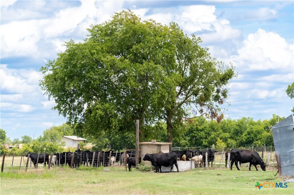 4775 Barnes Road Salado, TX 76571