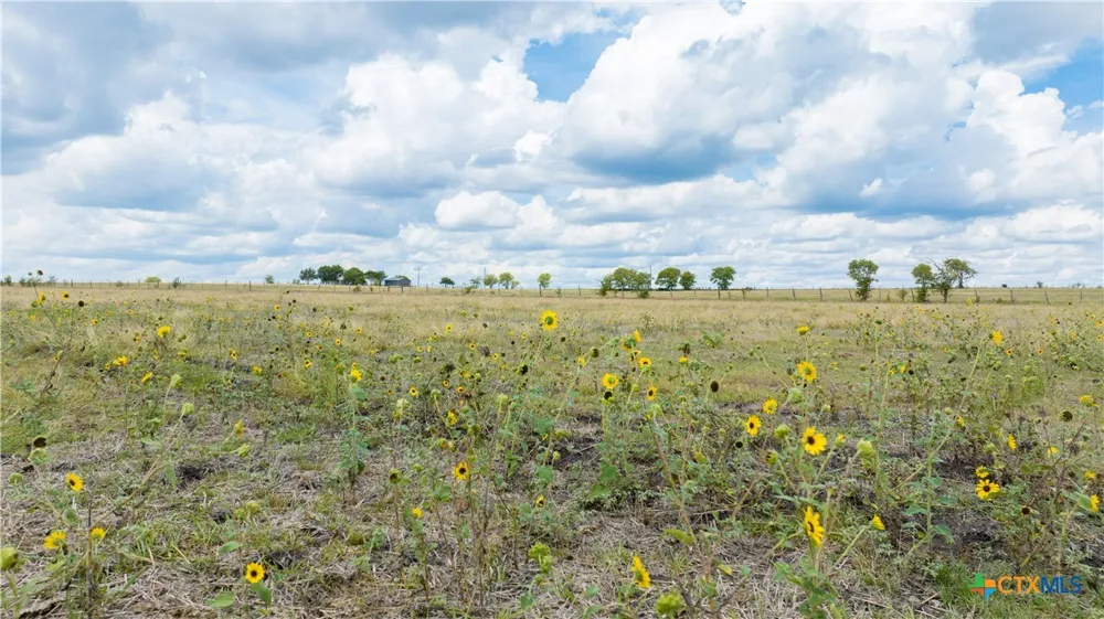 4775 Barnes Road Salado, TX 76571