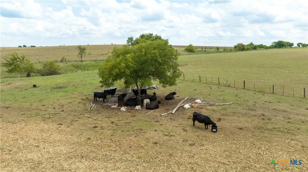 4775 Barnes Road Salado, TX 76571