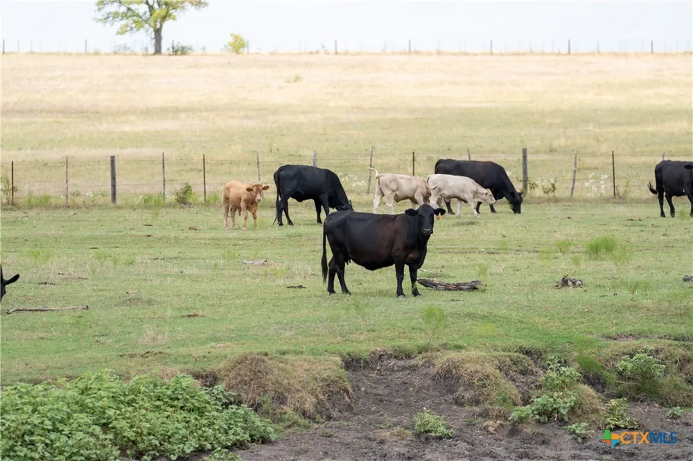 4775 Barnes Road Salado, TX 76571