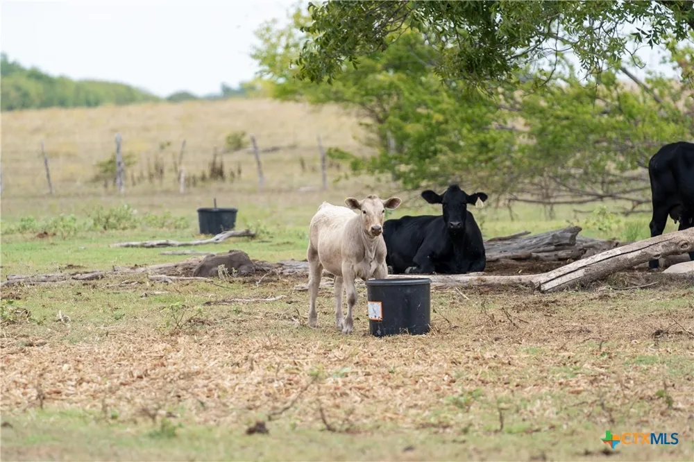4775 Barnes Road Salado, TX 76571