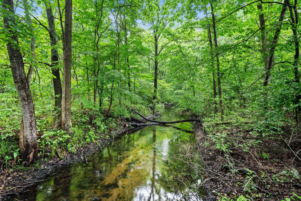 1497 10 Mile Road NE Algoma Township, MI 49321