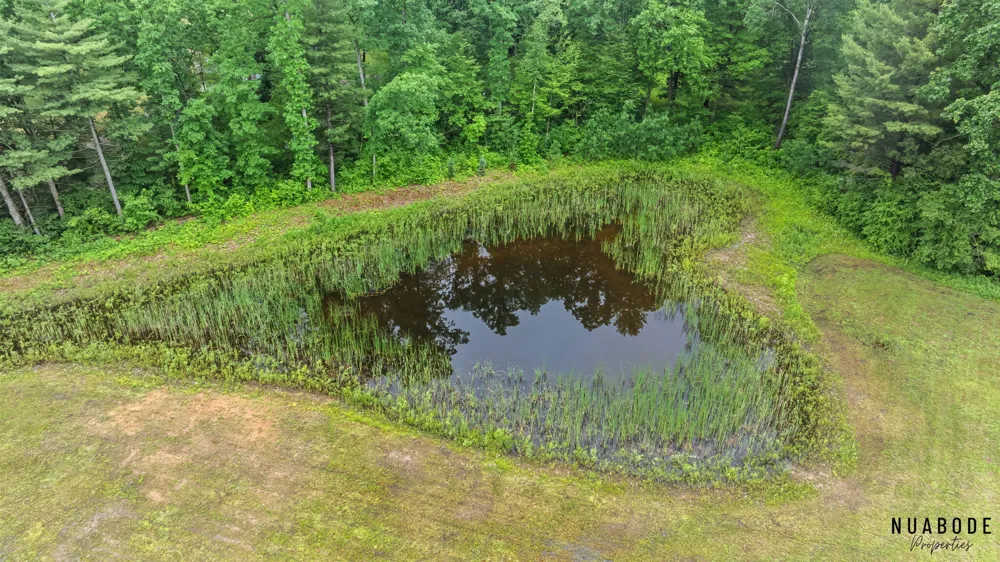 1497 10 Mile Road NE Algoma Township, MI 49321