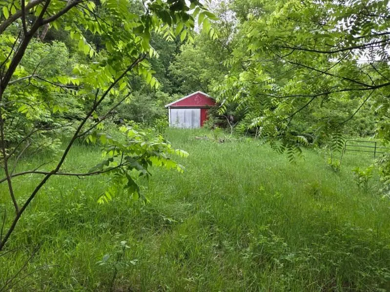 6980 Wooster Road Henrietta Township, MI 49201