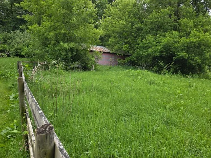 6980 Wooster Road Henrietta Township, MI 49201