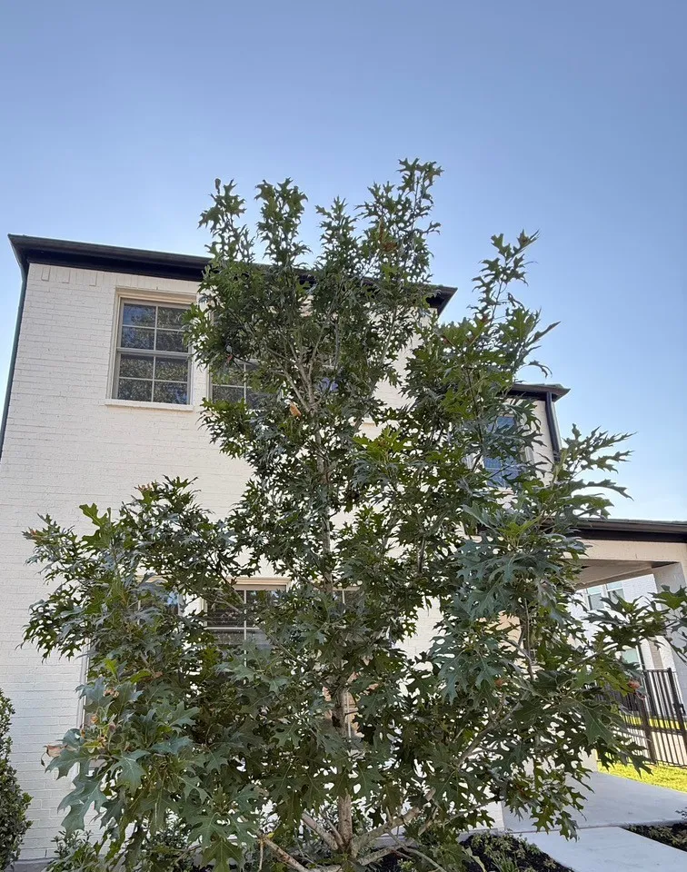 105 Magnolia Lane Westworth Village, TX 76114