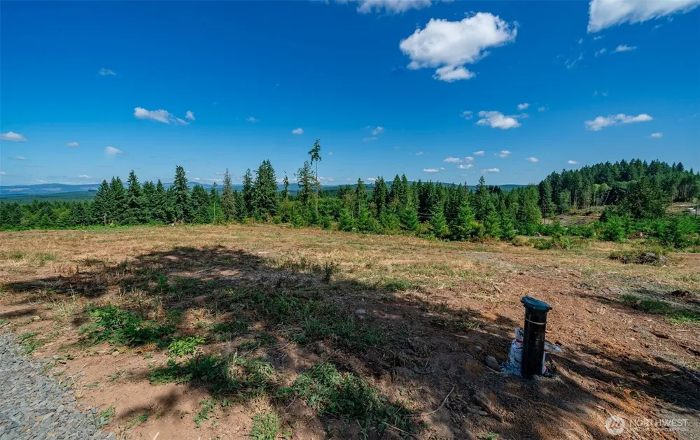 0 S Silver Lake Lot#5 Road Castle Rock, WA 98611