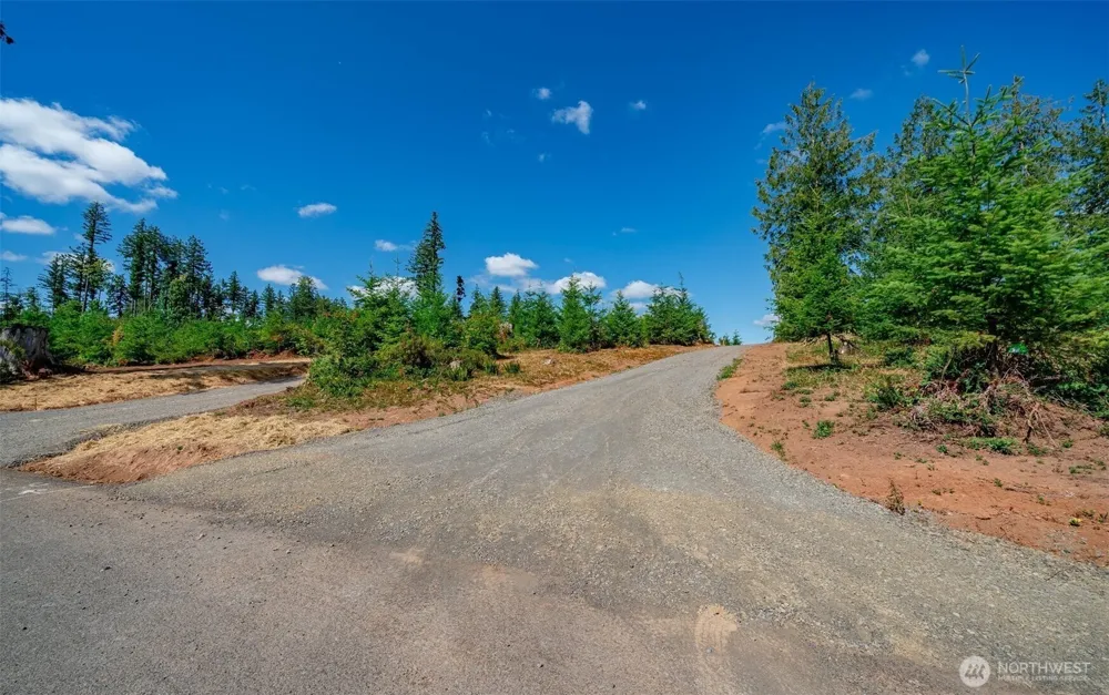 0 S Silver Lake Lot#5 Road Castle Rock, WA 98611