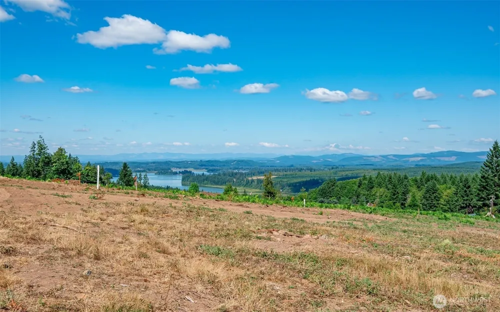 0 S Silver Lake Lot#5 Road Castle Rock, WA 98611