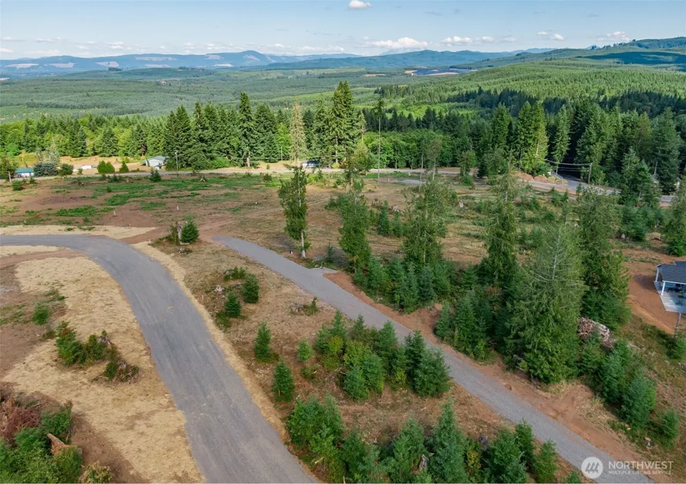 0 S Silver Lake Lot#5 Road Castle Rock, WA 98611