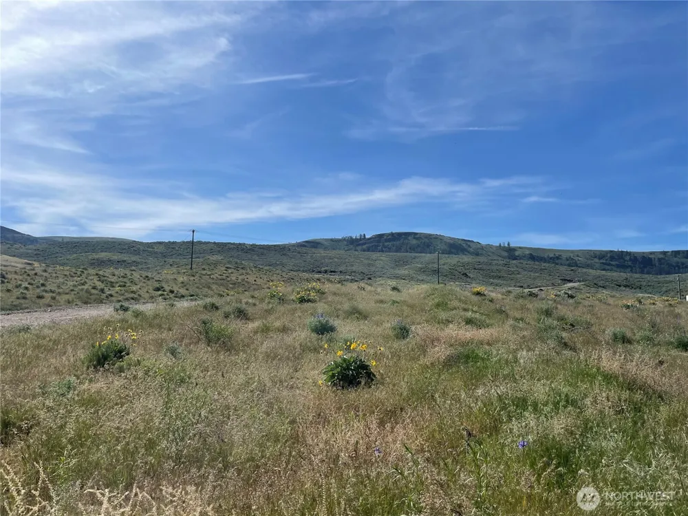 3 XXX HWY 174 Grand Coulee, WA 99133