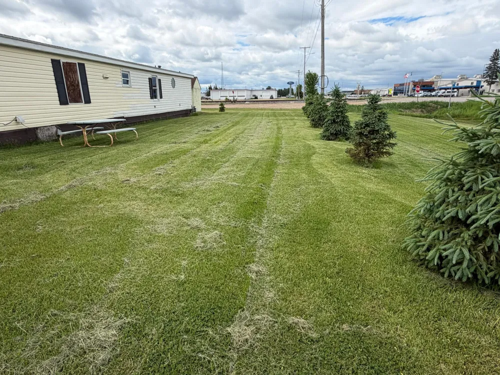 205 4th Avenue SW Roseau, MN 56751