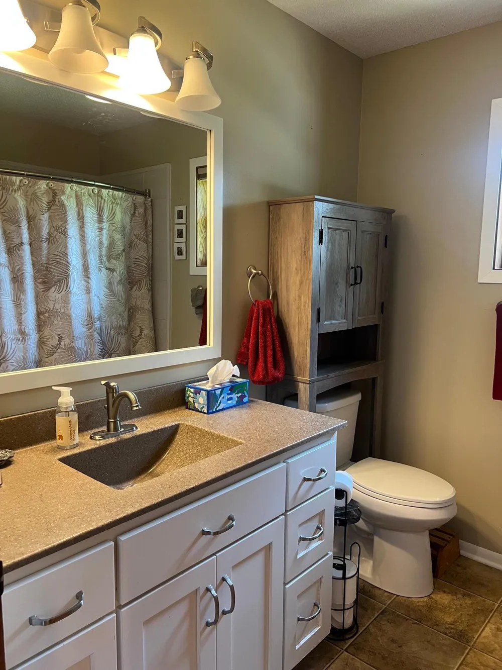 413 S Swift Avenue Litchfield, MN 55355