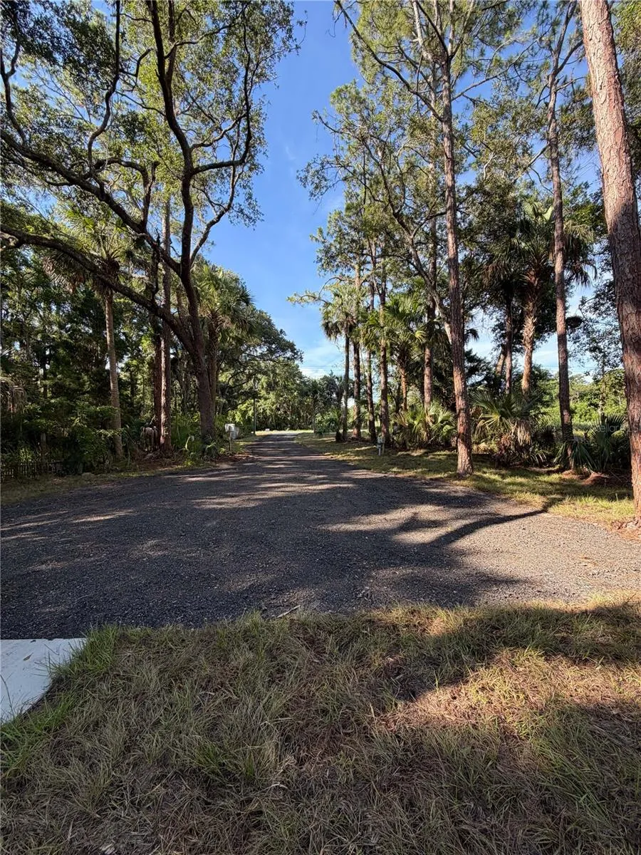 1438 LAKE HARNEY Geneva, FL 32732