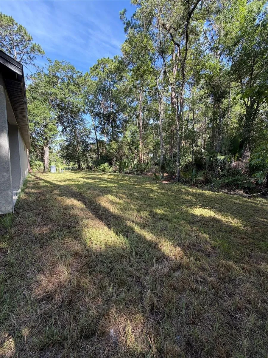 1438 LAKE HARNEY Geneva, FL 32732