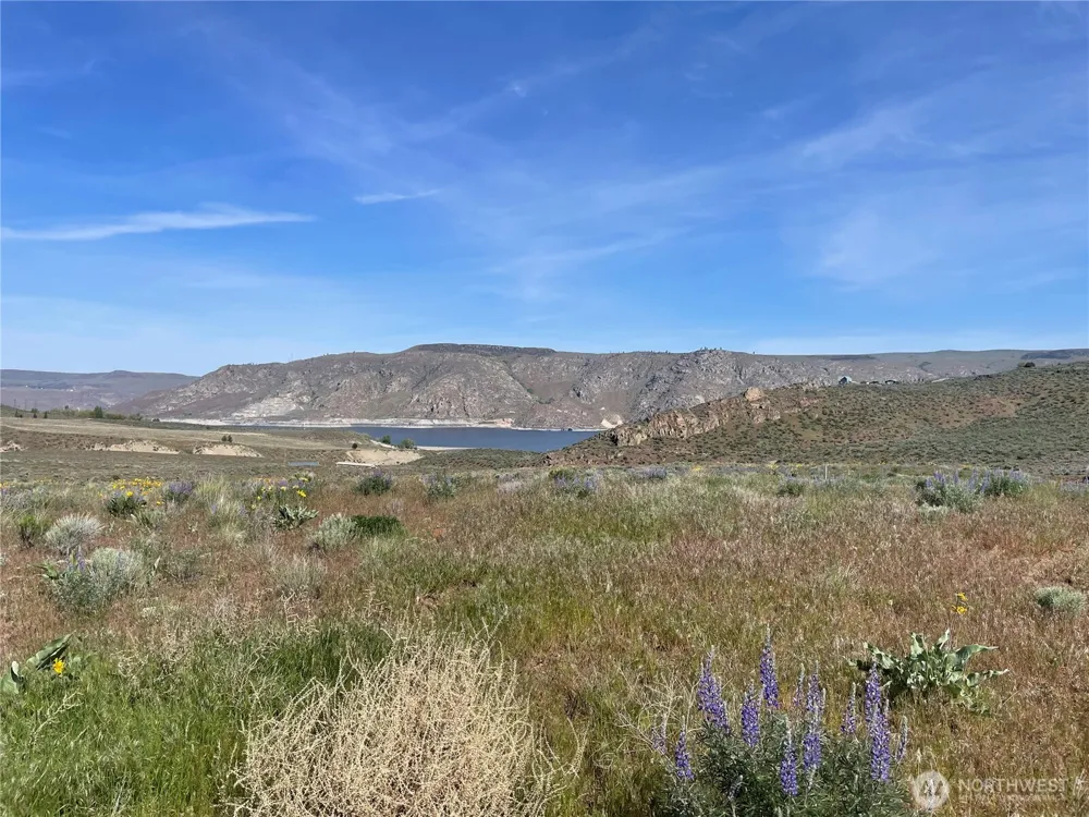 4 XXX HWY 174 Grand Coulee, WA 99133