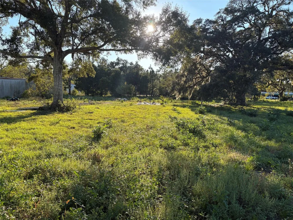 29156 Fm 1301 Road West Columbia, TX 77486