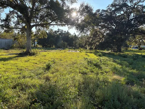 29156 Fm 1301 Road