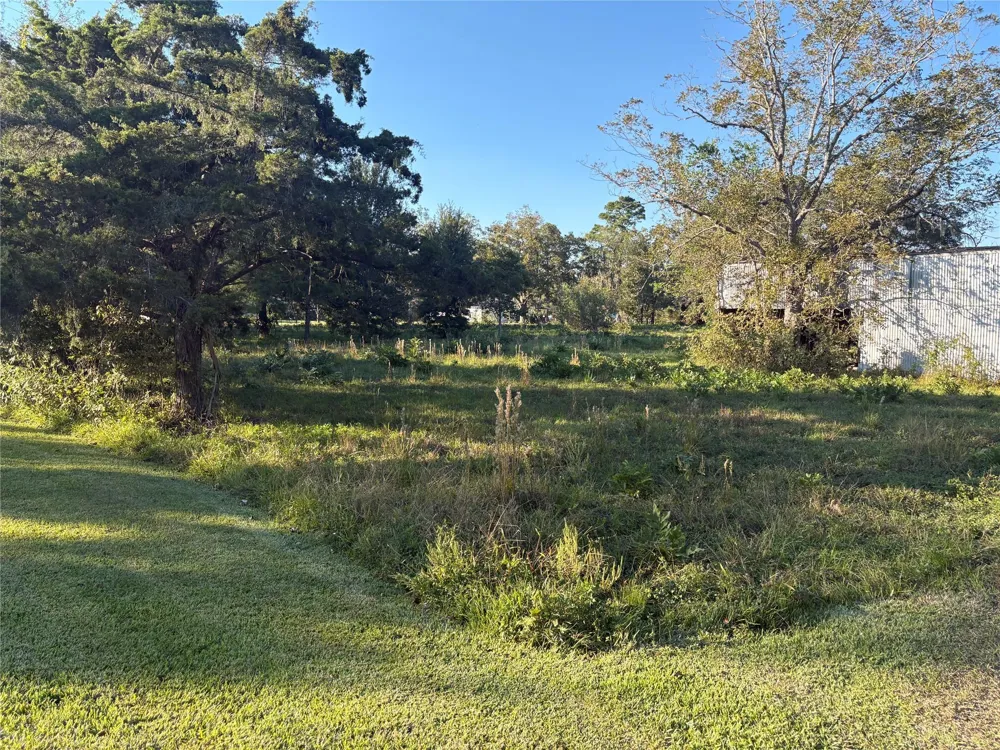 29156 Fm 1301 Road West Columbia, TX 77486
