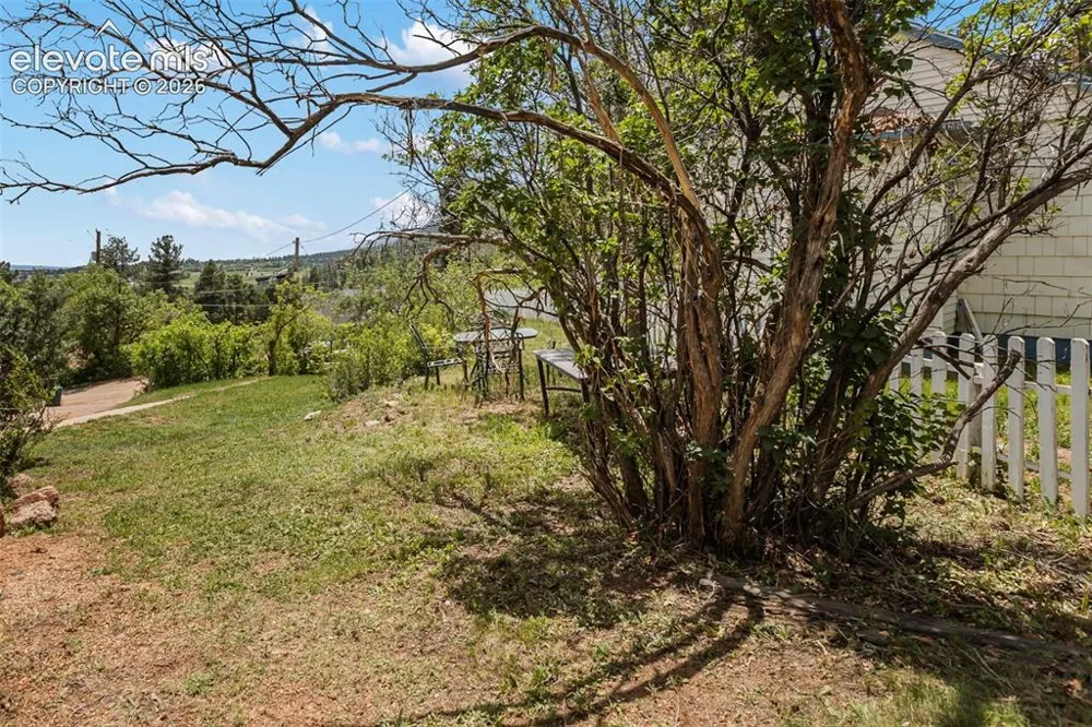 410 Thompson Place Palmer Lake, CO 80133