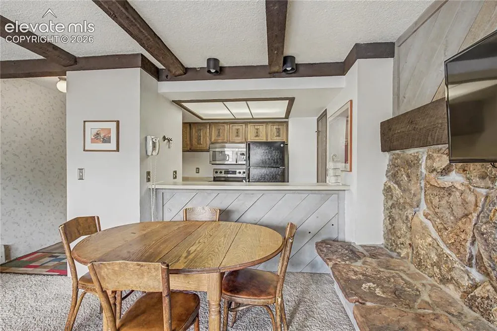 107 Harris Street #209 Breckenridge, CO 80424