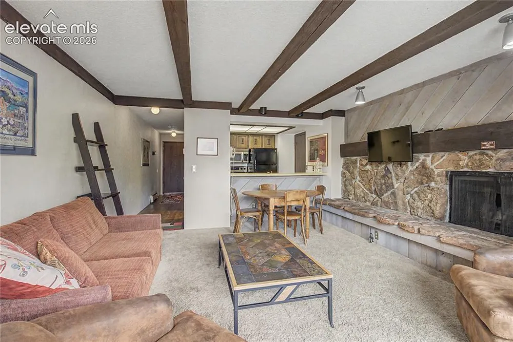 107 Harris Street #209 Breckenridge, CO 80424
