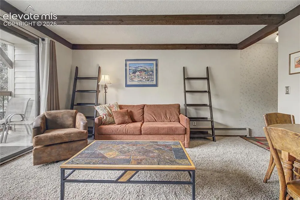 107 Harris Street #209 Breckenridge, CO 80424