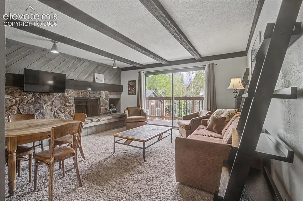 107 Harris Street #209 Breckenridge, CO 80424