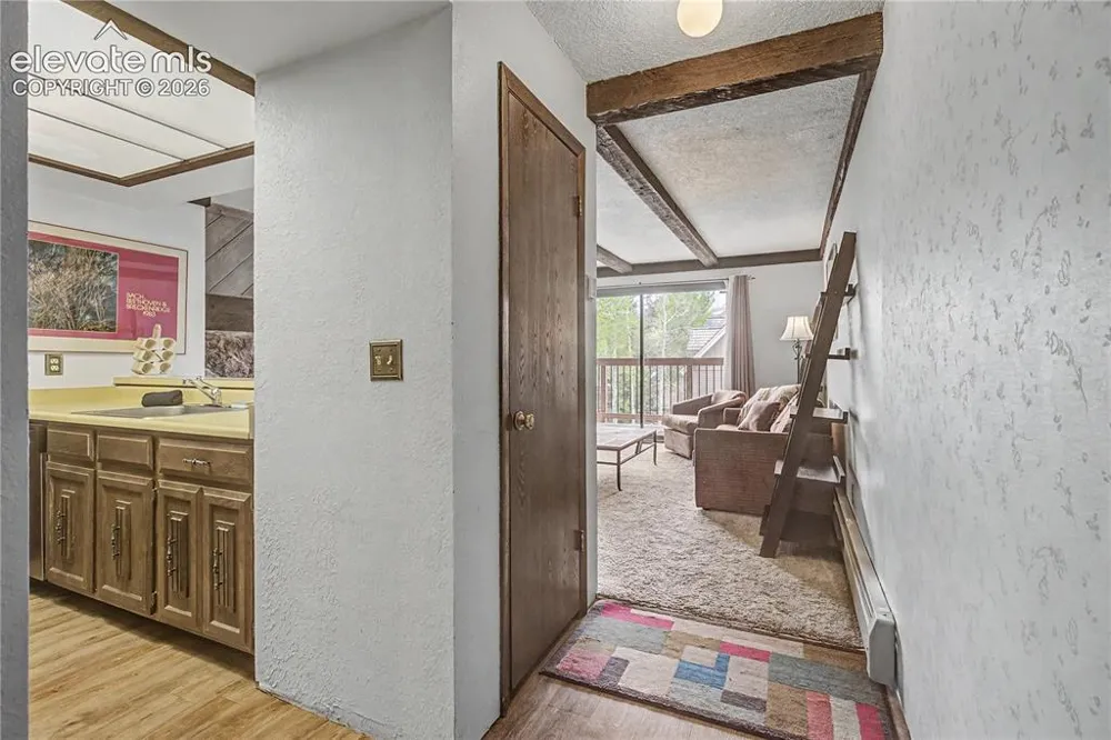 107 Harris Street #209 Breckenridge, CO 80424