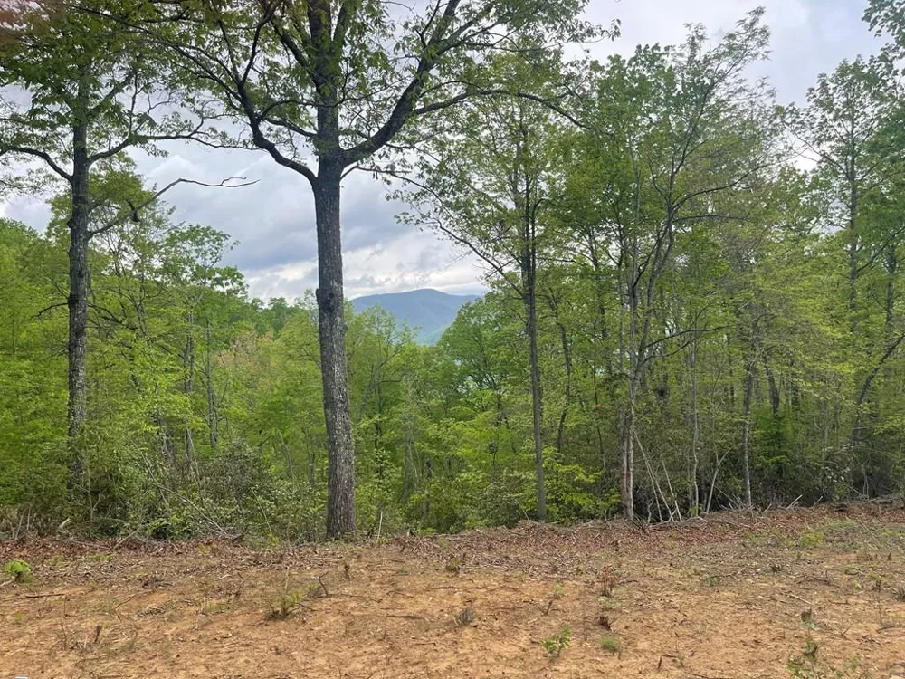 Copperhead Cove Sylva, NC 28779