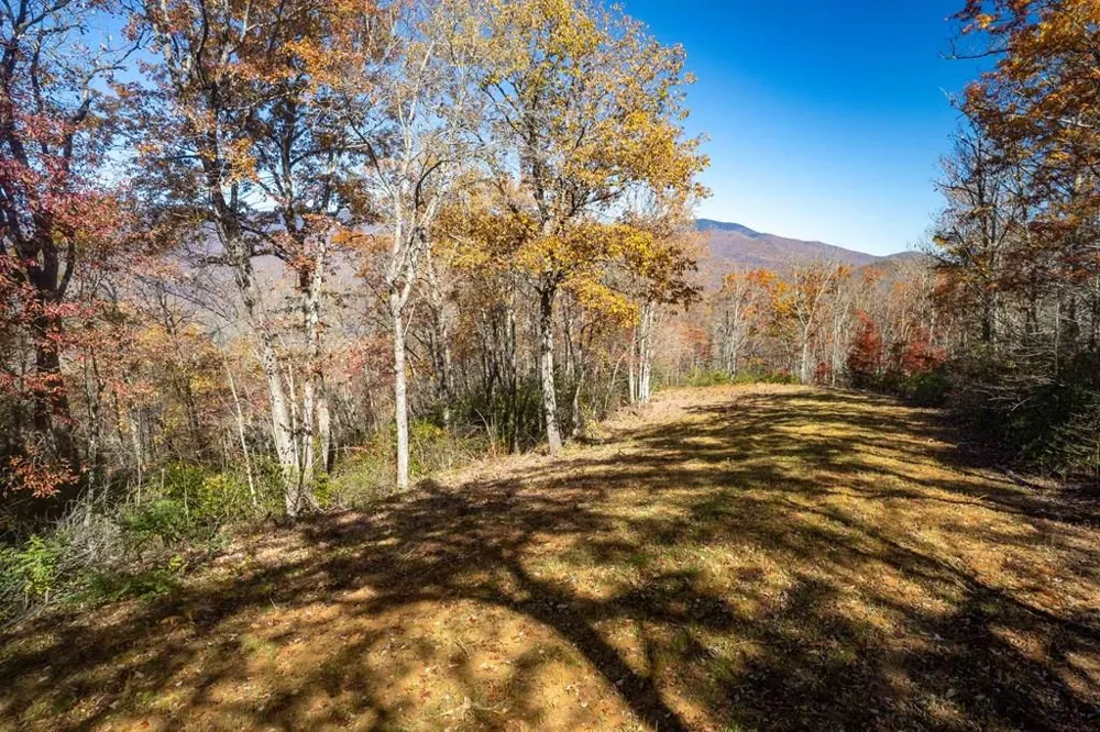 Copperhead Cove Sylva, NC 28779