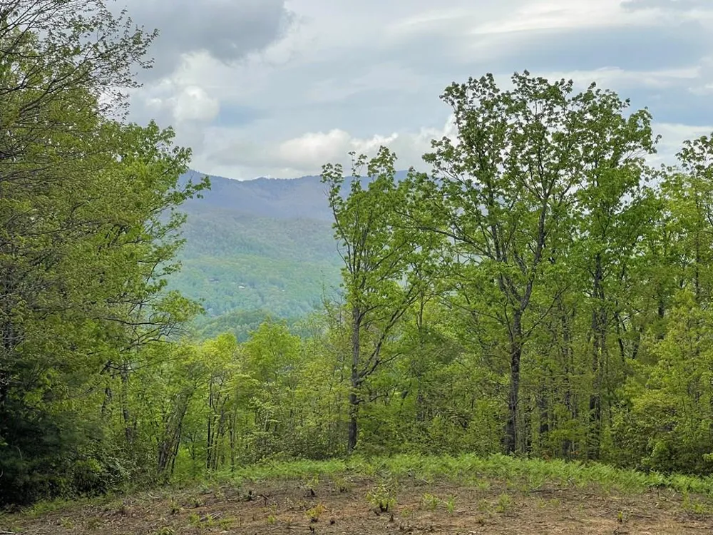 Copperhead Cove Sylva, NC 28779