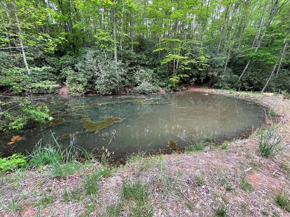 Copperhead Cove Sylva, NC 28779