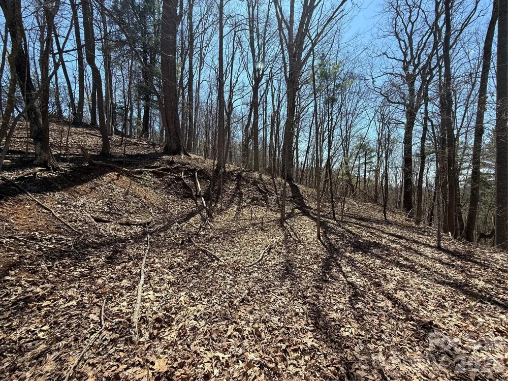 000 Granny Shepherd Road #Lot 2 Mars Hill, NC 28754