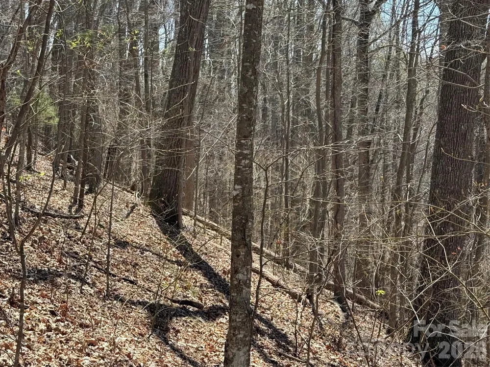 000 Granny Shepherd Road #Lot 2 Mars Hill, NC 28754